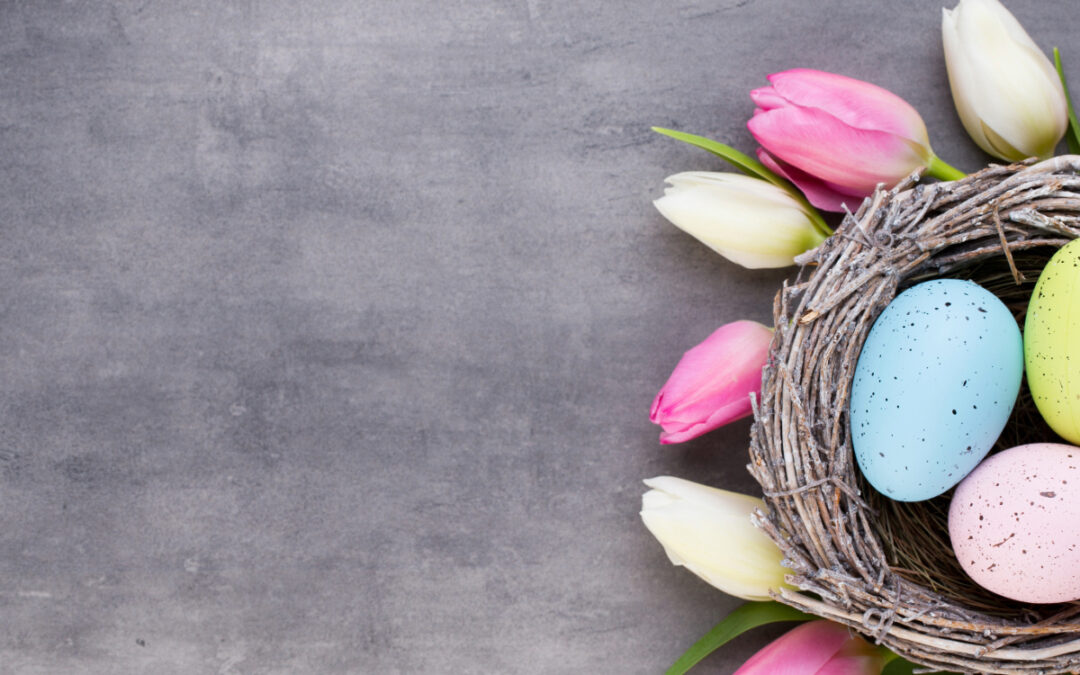 Der Frühling ist da – und wir haben wieder geöffnet!