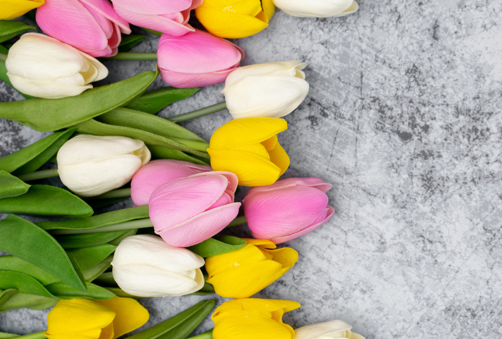 Der Frühling ist da – und wir haben wieder geöffnet!